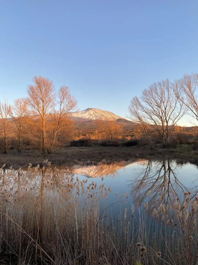 Mandorlo dell'Etna, Casa Siciliana Villa Piedimonte Etneo Italia