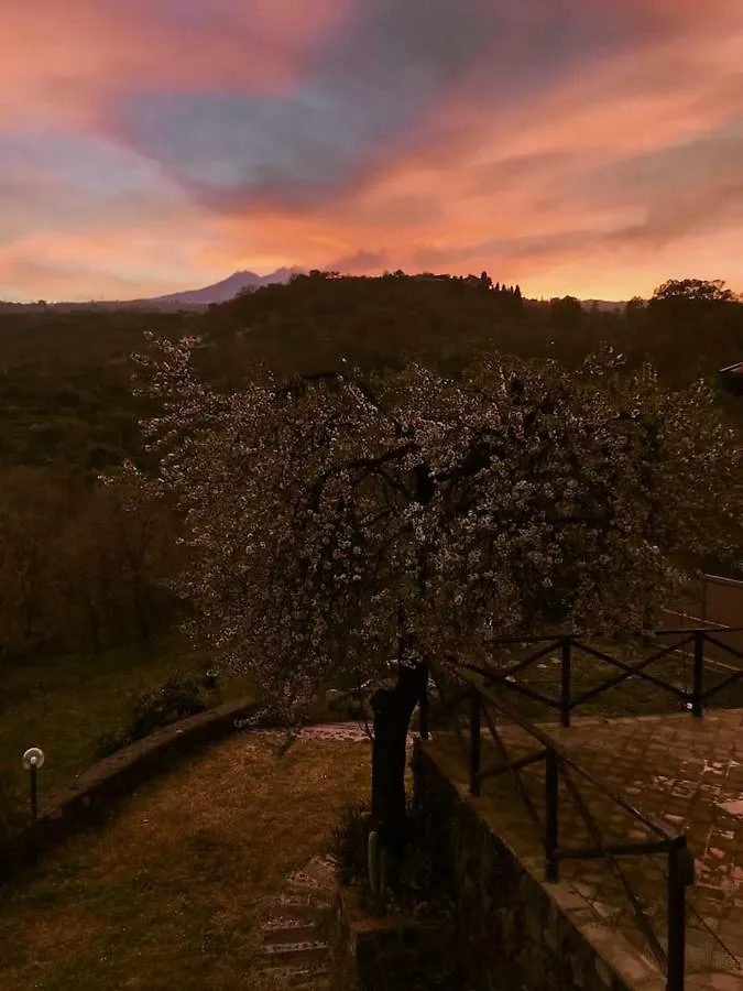 Casa vacanze Mandorlo dell'Etna, Casa Siciliana Villa Piedimonte Etneo